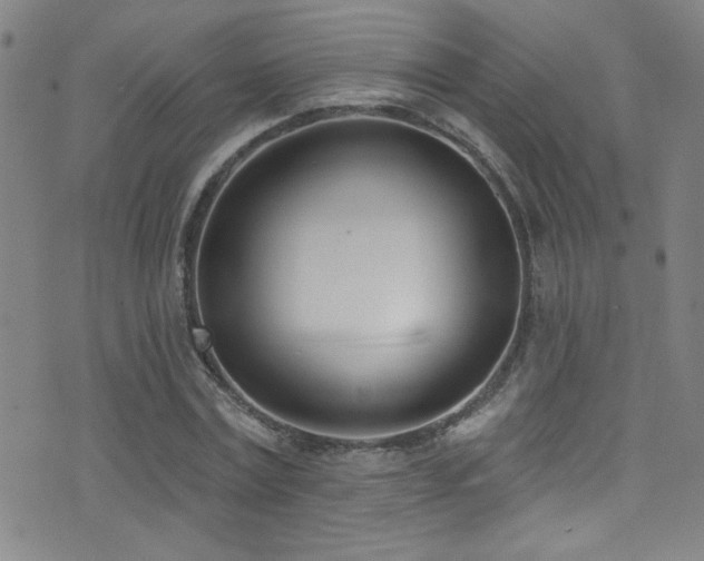 X0000073440779200607281215