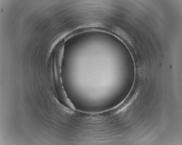 X0000073440781200607281215