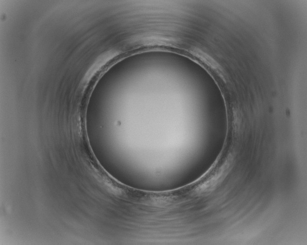 X0000073440782200607281215