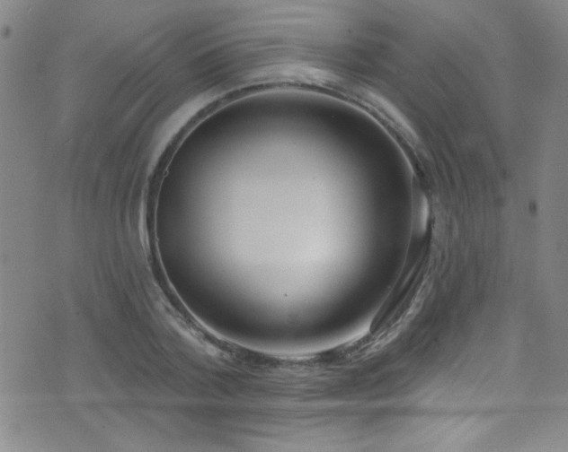 X0000073440788200607281215