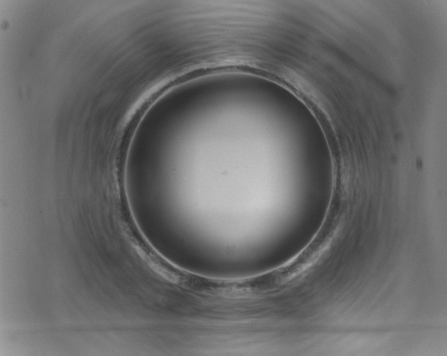 X0000073440789200607281215