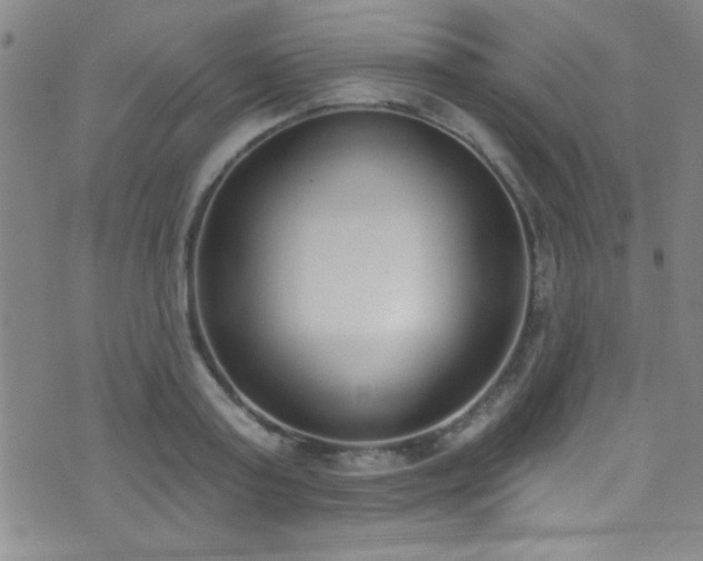 X0000073440795200607281215