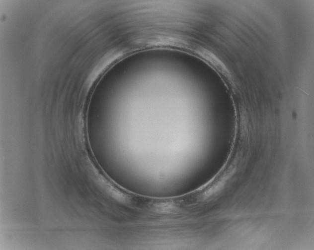 X0000073440798200607281215