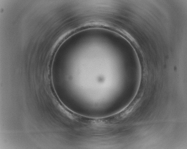 X0000073440799200607281215