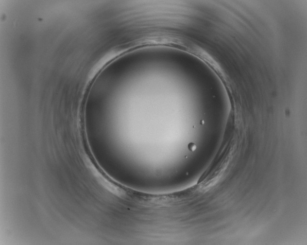 X0000073440803200607281215