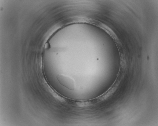 X0000073440804200607281215