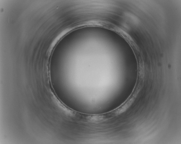 X0000073440808200607281215