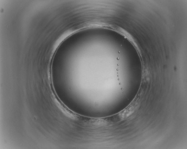 X0000073440811200607281215