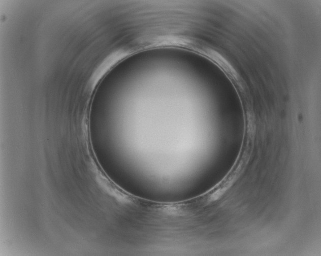 X0000073440814200607281215