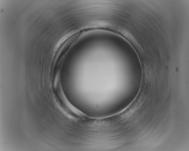 X0000073440842200607281214