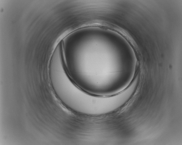 X0000073440858200607281215