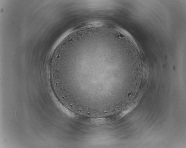 X0000073440859200607281215