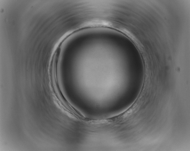 X0000073440864200607281215