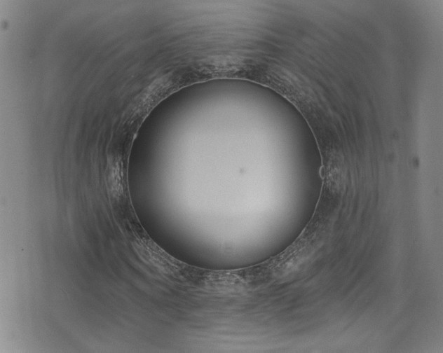 X0000073440866200607281214