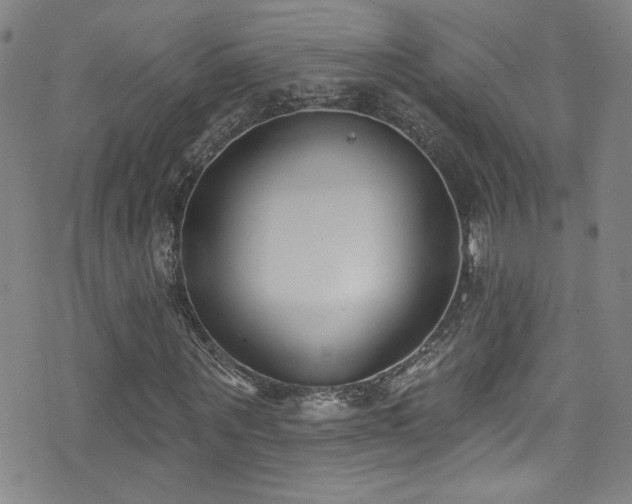 X0000073440867200607281214
