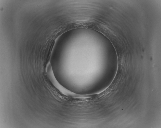 X0000073440868200607281214
