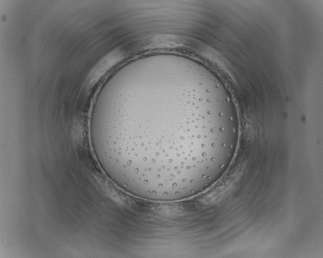 X0000073440874200607281214