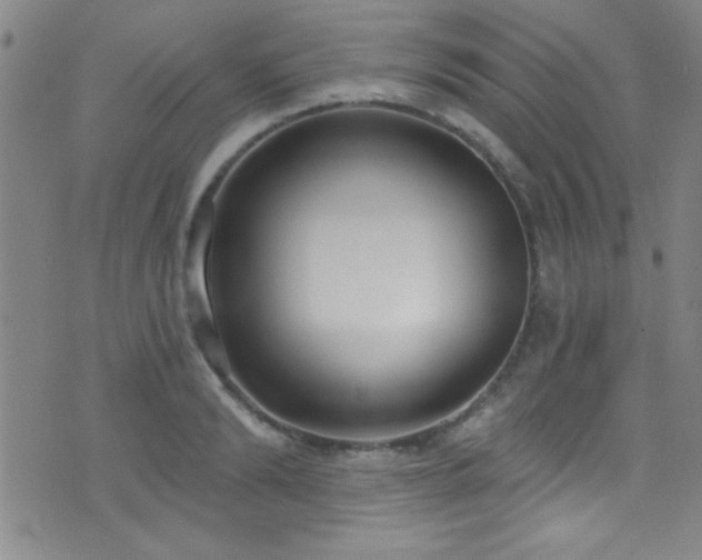 X0000073440894200607281213
