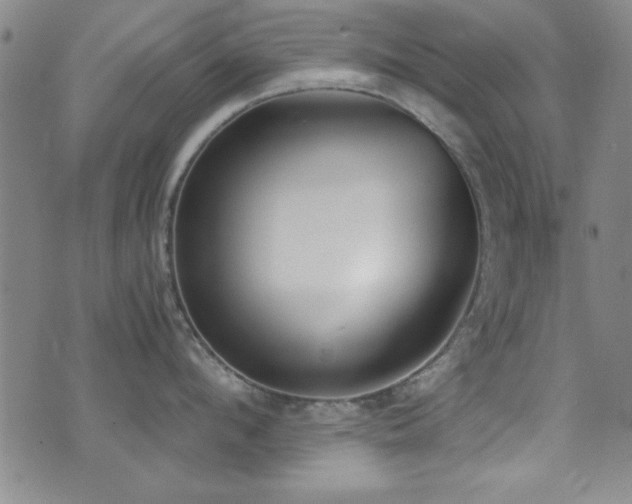 X0000073440912200607281213