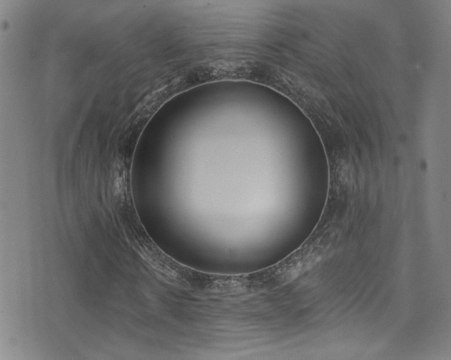 X0000073440914200607281212