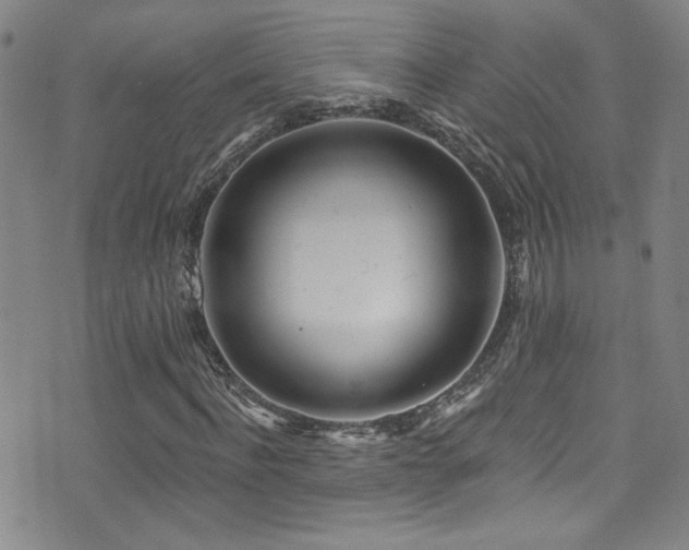 X0000073440916200607281212