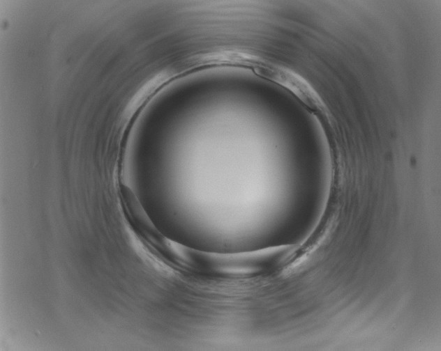 X0000073440946200607281213