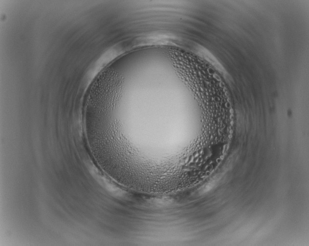 X0000073440994200607281212