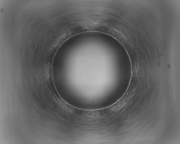 X0000073441012200607281211