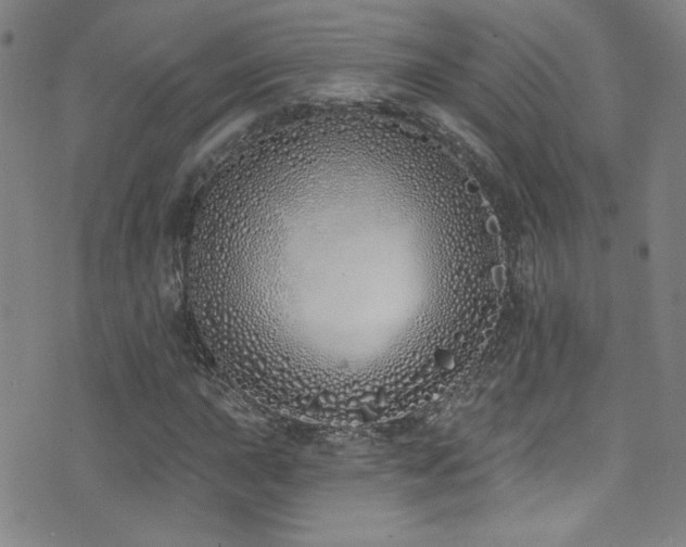 X0000073441015200607281211