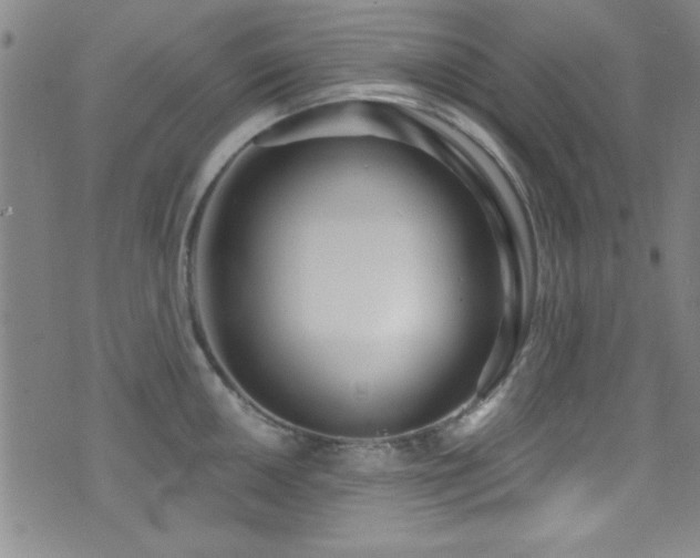 X0000073441050200607281211