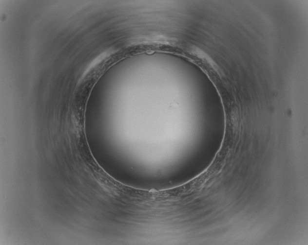 X0000073441064200607281211