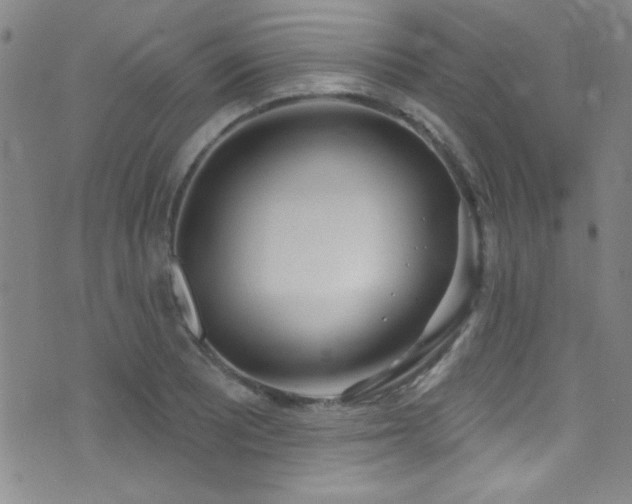 X0000073441081200607281210
