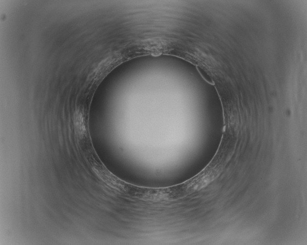X0000073441106200607281209