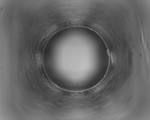 X0000073441107200607281209