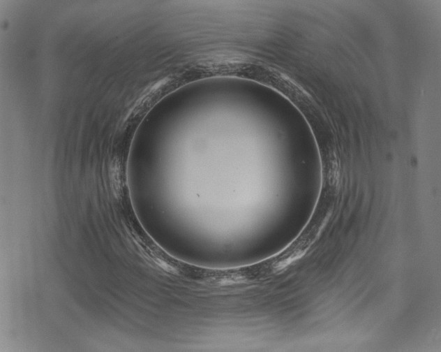 X0000073441108200607281209