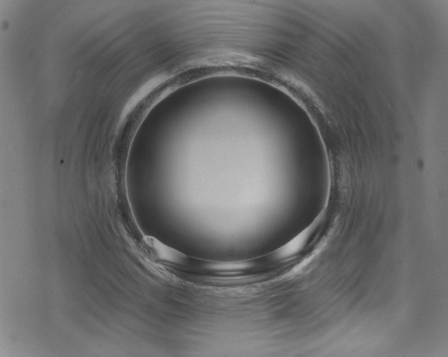 X0000073441114200607281209