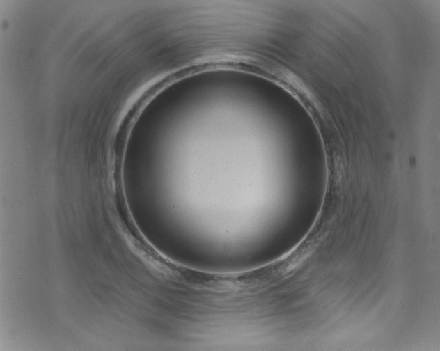 X0000073441124200607281209