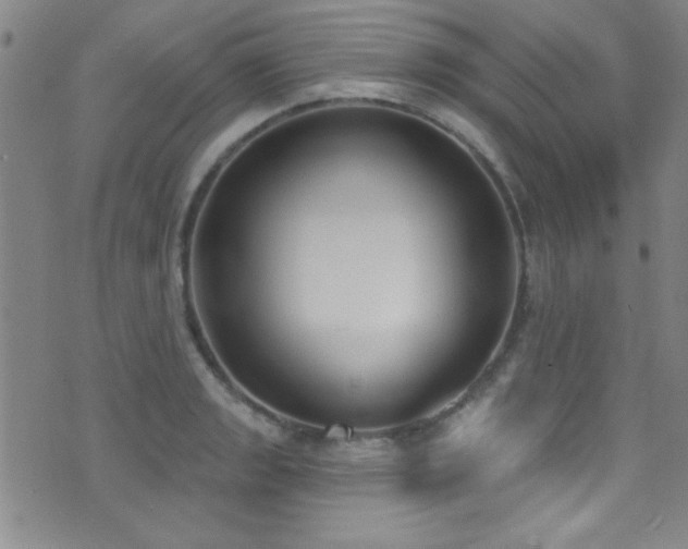 X0000073441133200607281210