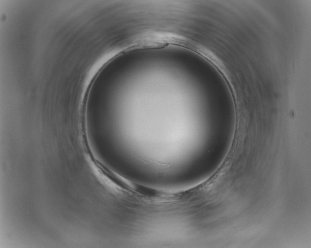 X0000073441152200607281210