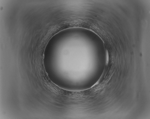 X0000073441153200607281209