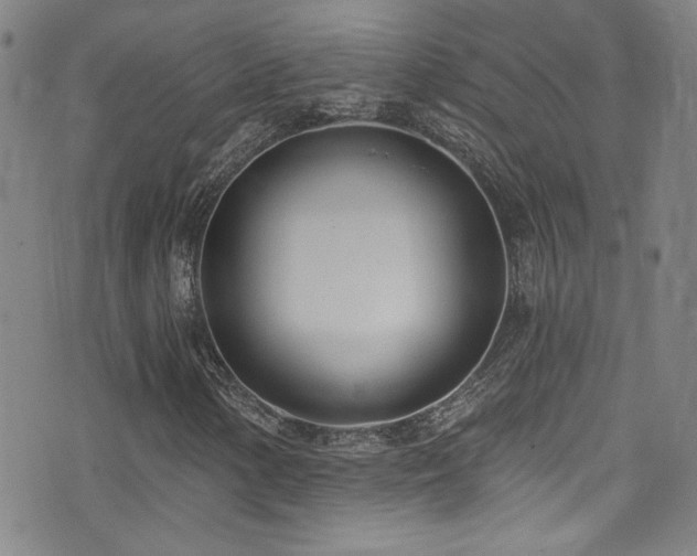 X0000073441154200607281209