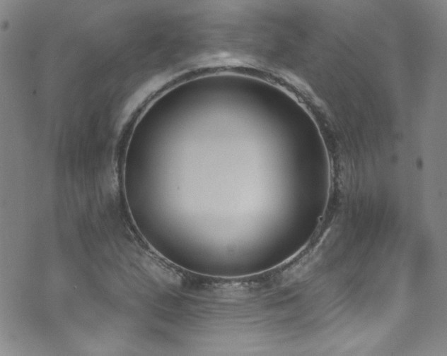 X0000073441167200607281209