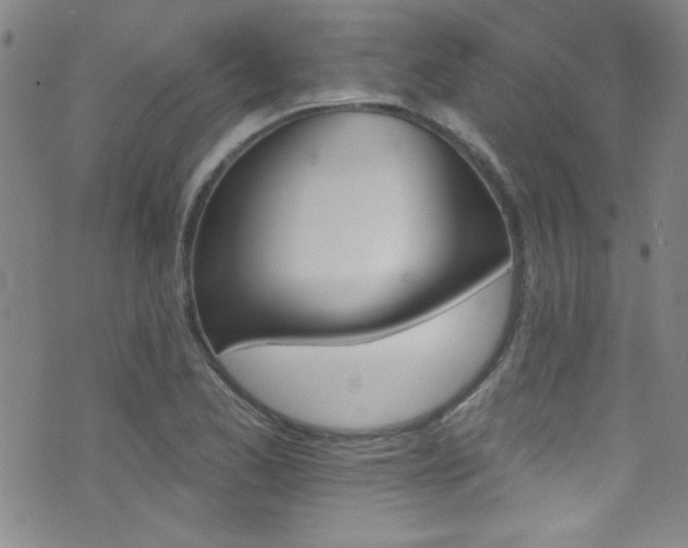 X0000073441173200607281209