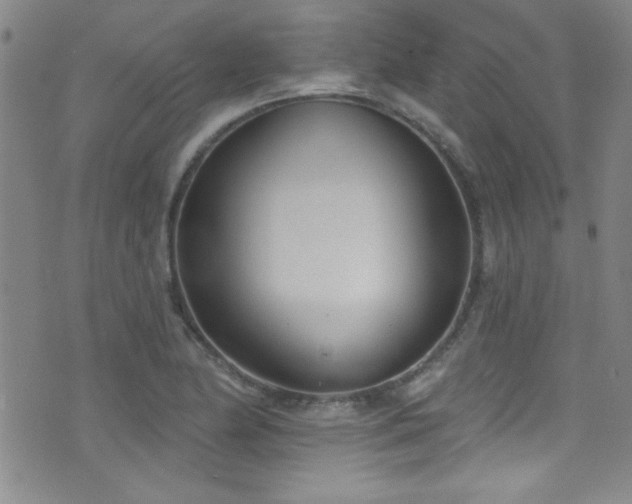 X0000073441174200607281209