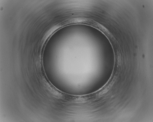 X0000073441178200607281209