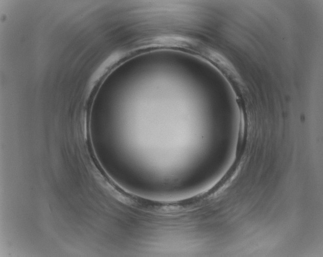 X0000073441180200607281209