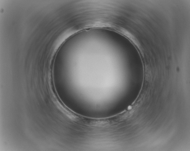 X0000073441187200607281209