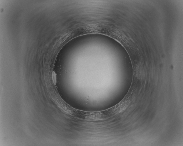 X0000073441201200607281208