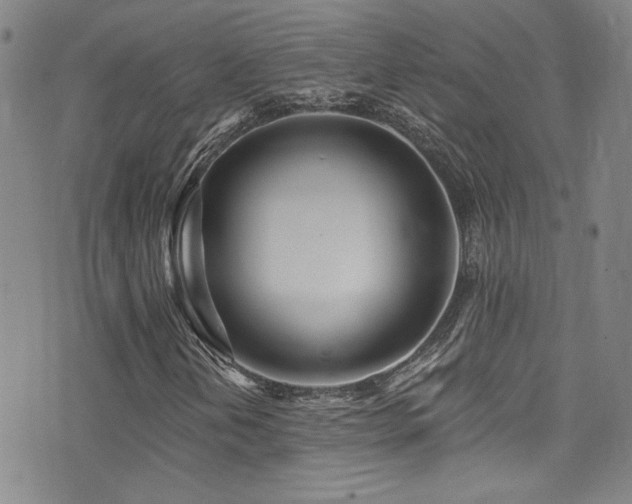 X0000073441202200607281208
