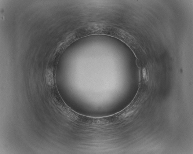 X0000073441203200607281208